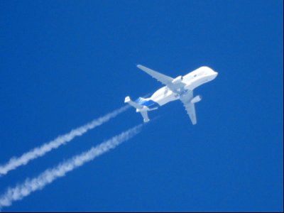 Airbus BelugaXL photo