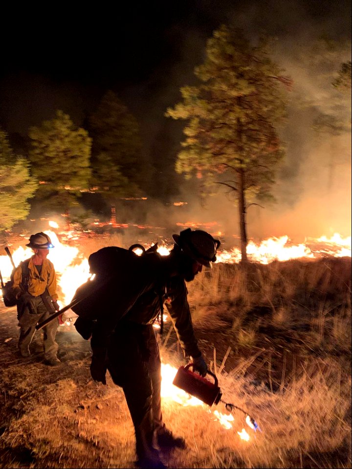 McBride Fire photo