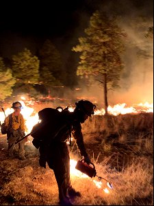 McBride Fire photo