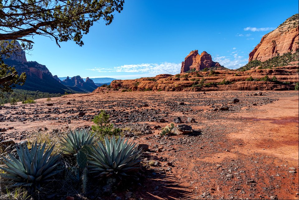 Mitten Ridge (Cow Pies and Hangover Trails)