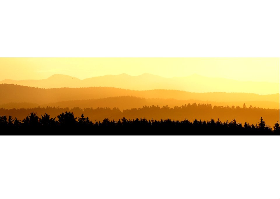 COVER PHOTO