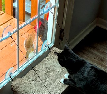 Day 139 - Staring Contest