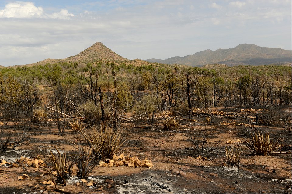 DodgeSpringsFire-Colorado-JessHarvey-5360