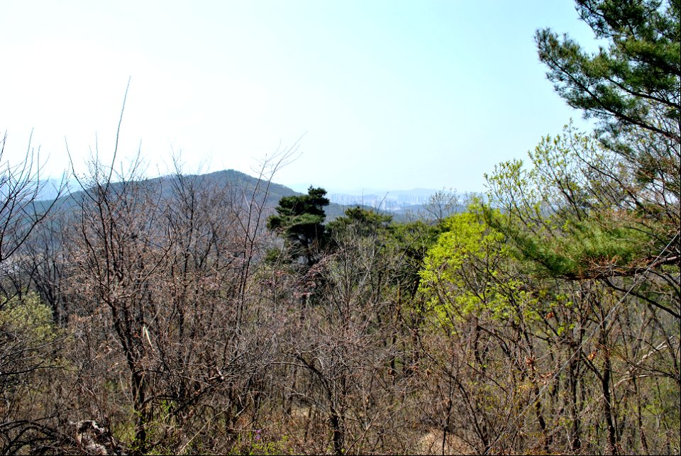 Taejosan Mountain