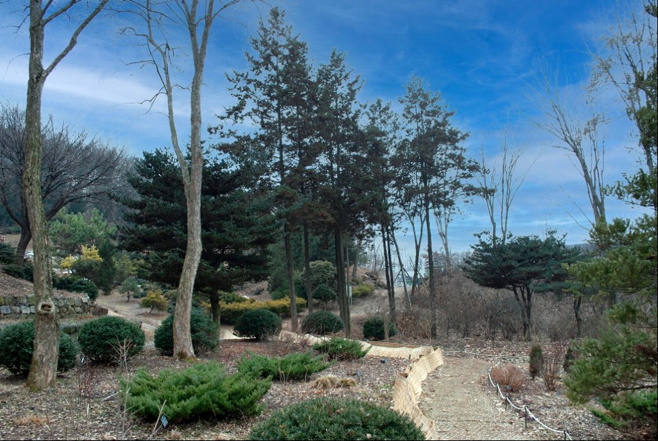 Hantaek Botanical Garden