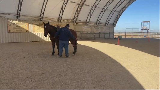 Cora Video (4)