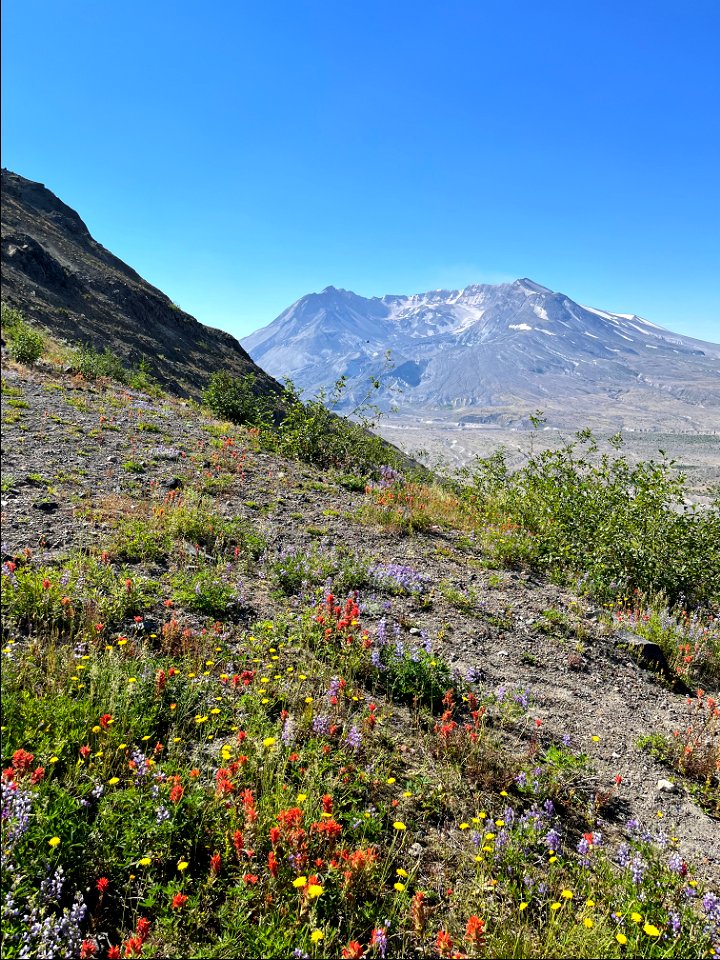 20220731-GP-Mount St Helens NVM Boundary Trail #1-MSHI Steward Laurie Erdman