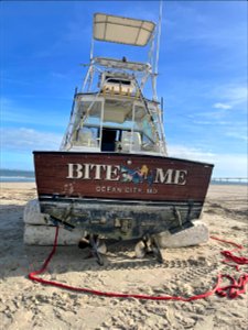 Bite Me removal progress 02-03-2022