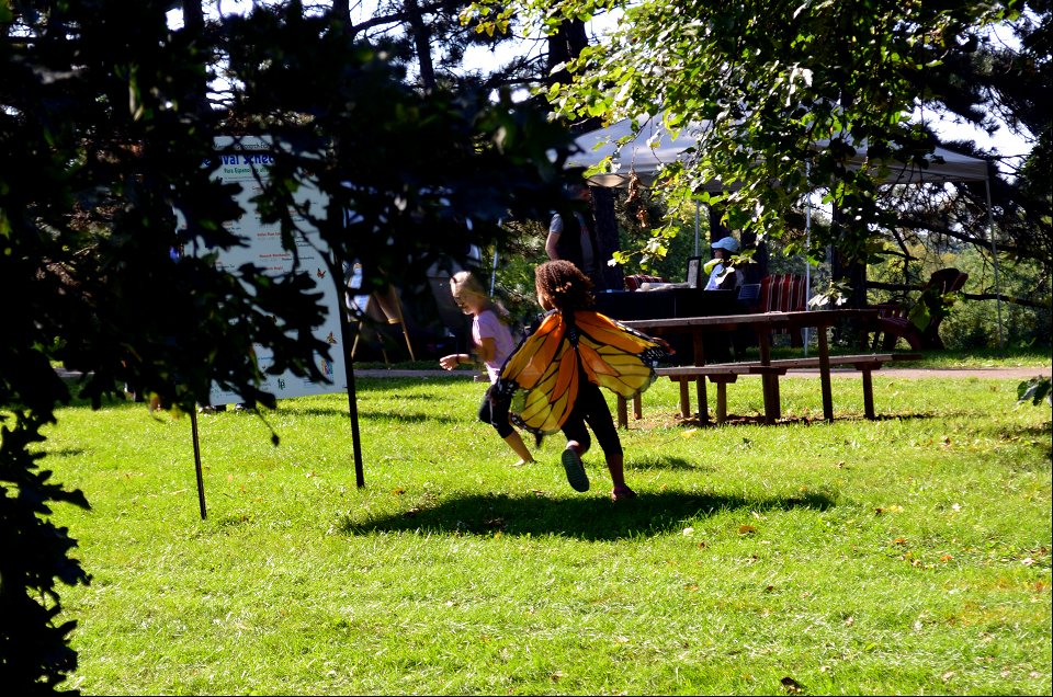 Running monarchs