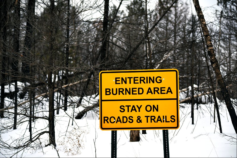 Area burned by the 2021 Greenwood Fire in the Superior National Forest