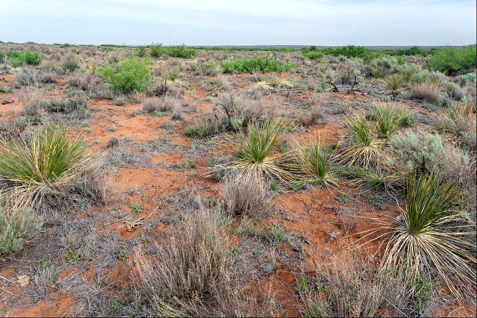 Southwest side of The Divide