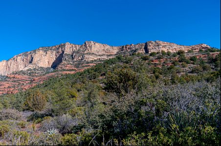 Loy Canyon Trail
