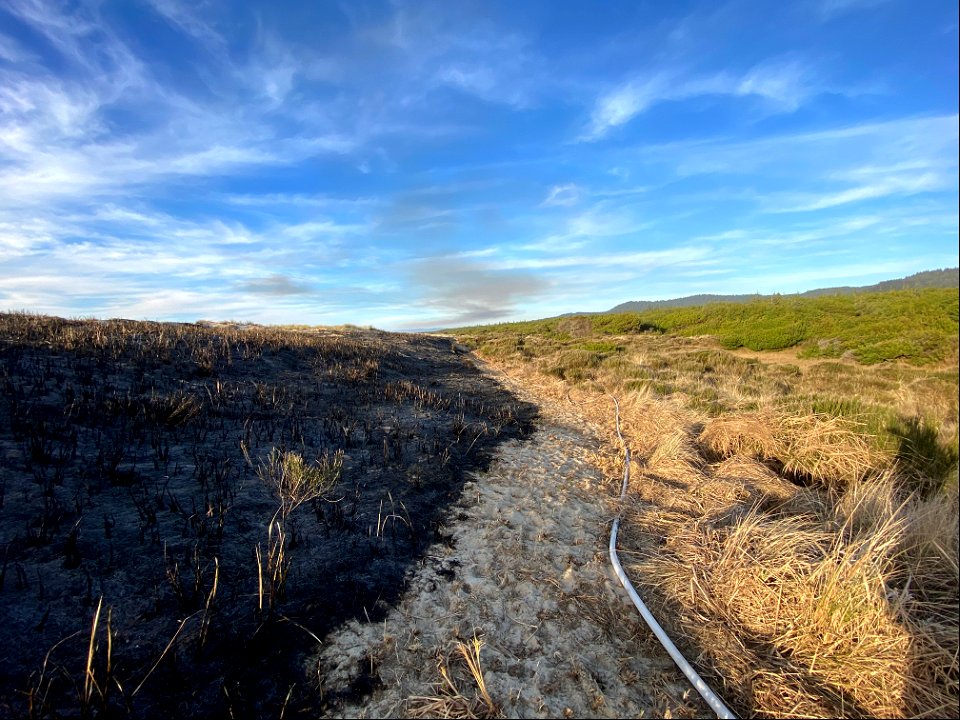 Tahkenitch Beach Prescribed Burn