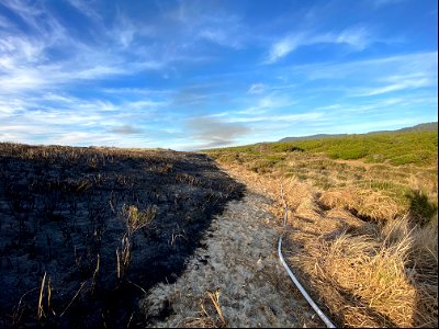 Tahkenitch Beach Prescribed Burn photo