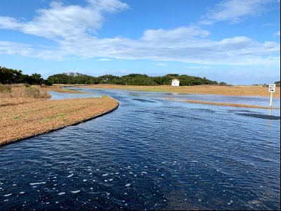 Coastal Storm Photos, Jan. 3-4, 2022 photo