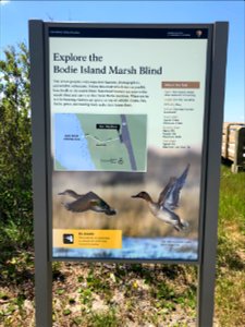 Bodie Island Marsh Blind Wayside Sign