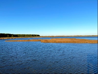 View from the Bodie Island Light Station viewing platform 12-12-2021