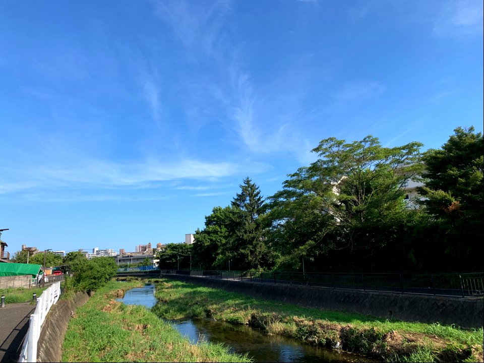 Kurome River in Saiwaicho, Higashikurume-shi