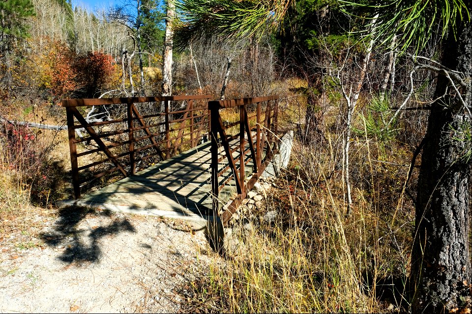 Footbridge on Limekiln Trail