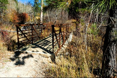 Footbridge on Limekiln Trail photo