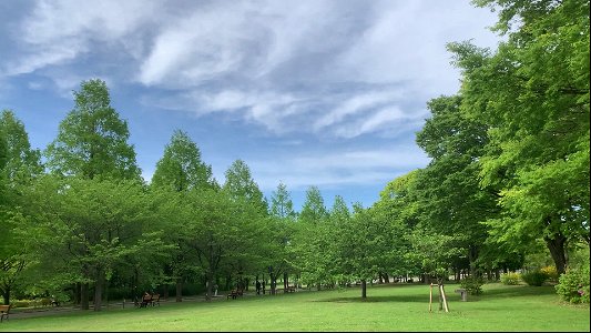 Toneri Park in Adachi-ku