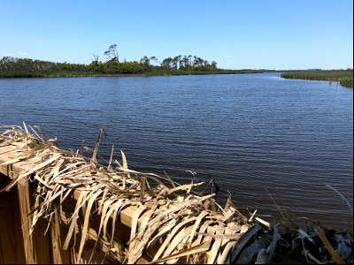 View from the Bodie Island Marsh Blind photo