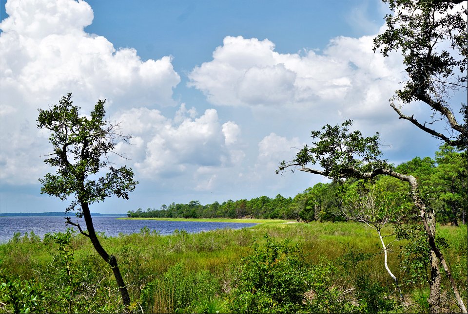 scene Carolina Beach SP KG (170)