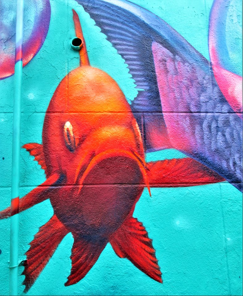 Toronto street art