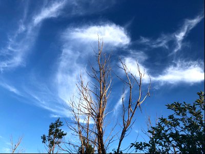 Swirly Skies