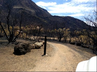 Homestead recreation vegetation