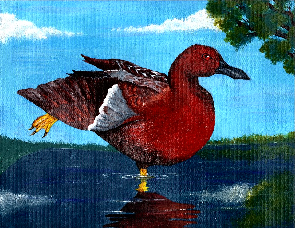 Grp 4 3rd Syd Ohlson Juneau 15