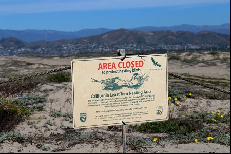 Sign designating the area provides habitat for breeding California least terns, an endangered species.