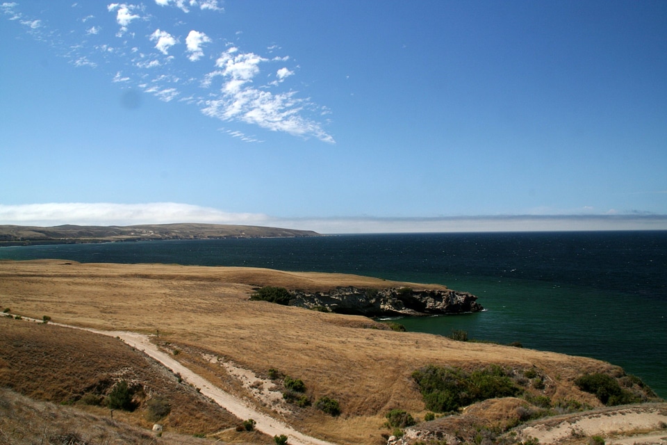the top of Torrey Pines Hill, Santa Rosa Island, Channel Islands