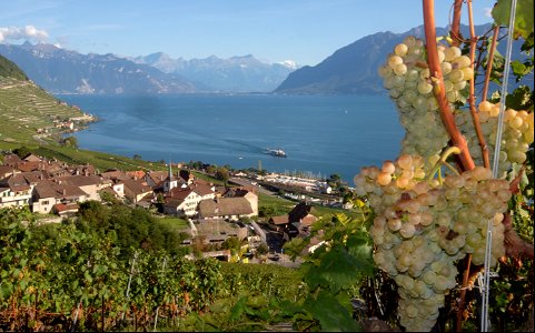 Riex, Bourg-en-Lavaux, Vaud.