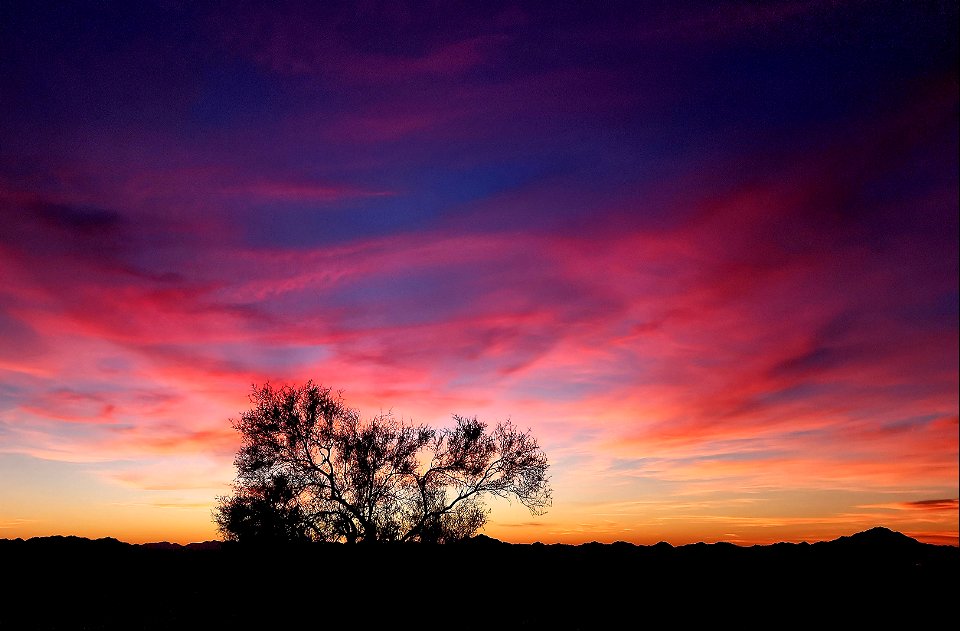 KOFA GAME RANGE , AZ (11-05-2022) -07