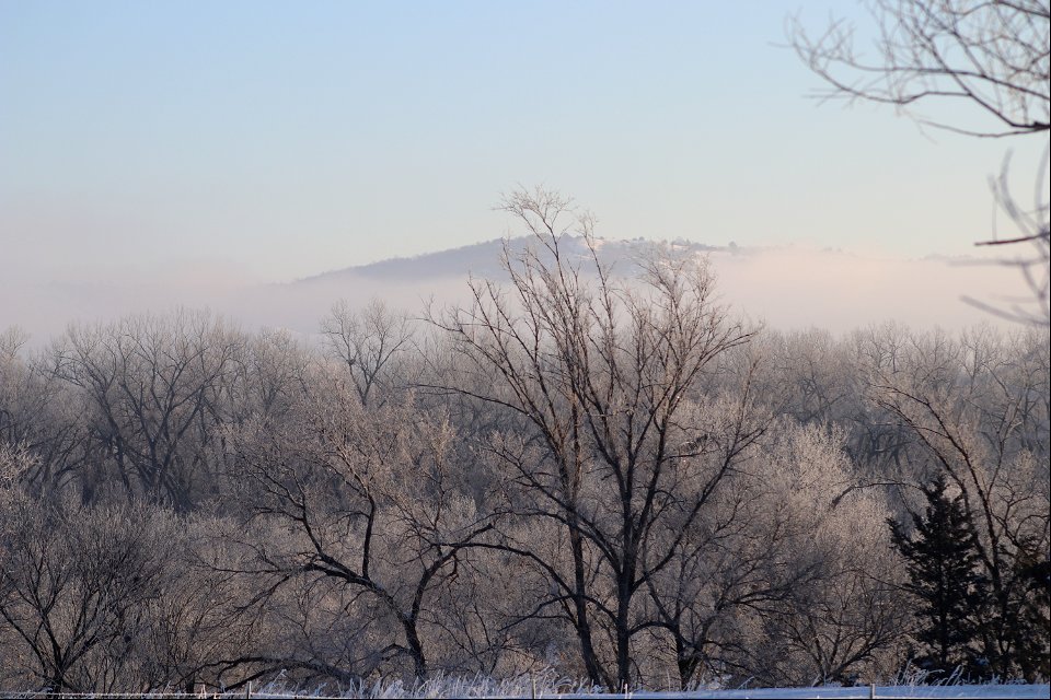 Frosty Trees on Karl E. Mundt National Wildlife Refuge South Dakota photo