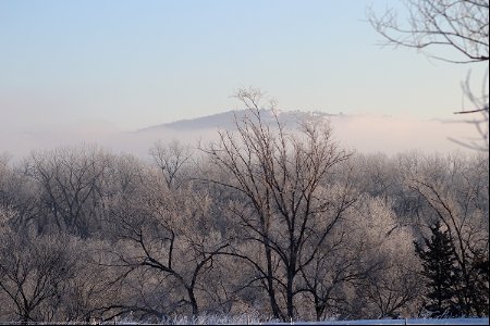 Frosty Trees on Karl E. Mundt National Wildlife Refuge South Dakota