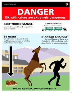 Poster: Danger, Spring Elk Calving (8.5" x 11") photo