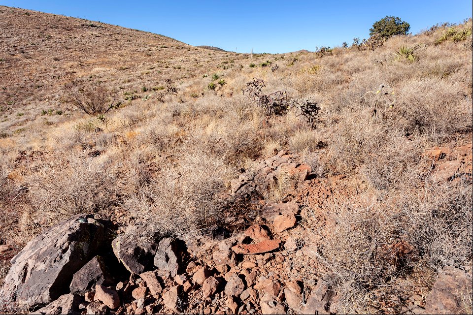 Alamo Hueco Mountains