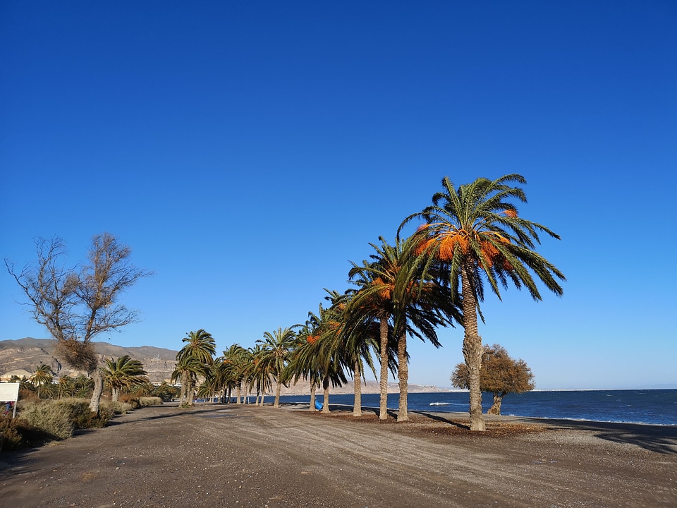 sandy Cala Mesquida bay with beach