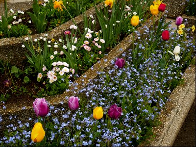 Herestrau Park in spring (107) photo