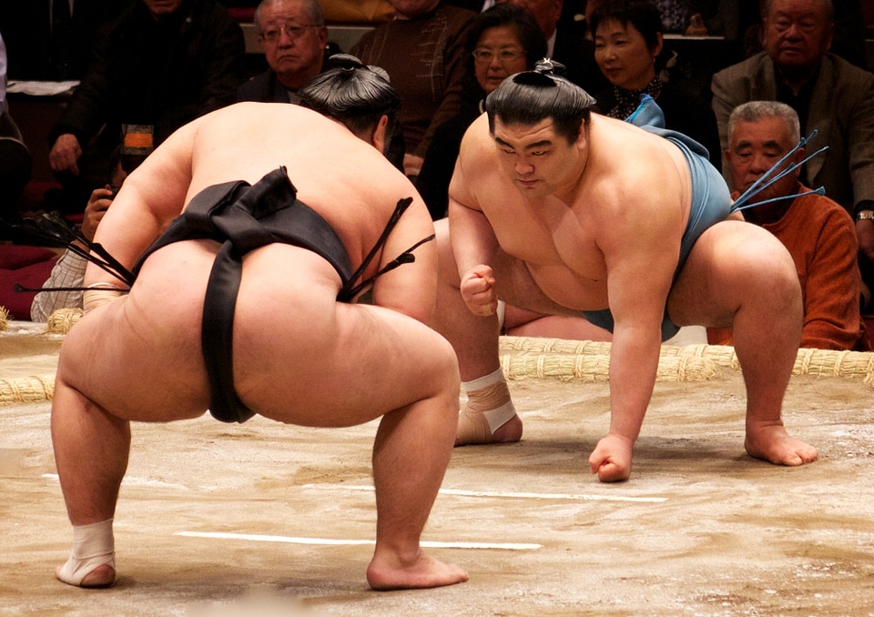 Japanese sumo wresler