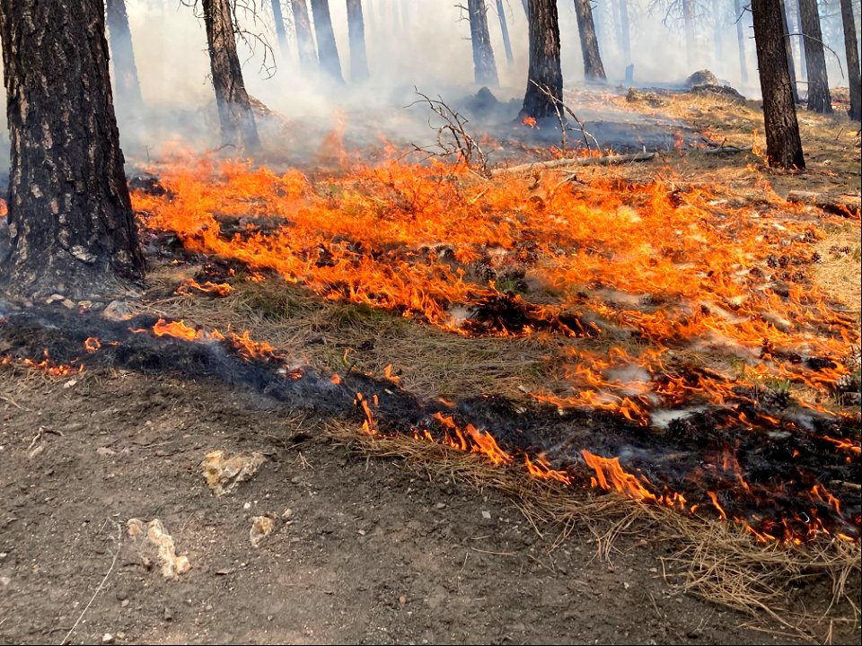 Spring Prescribed Burns