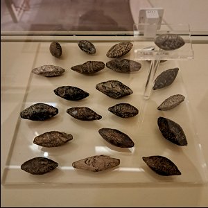 Inscribed bullets they would throw Baths of Diocletian Rome Italy