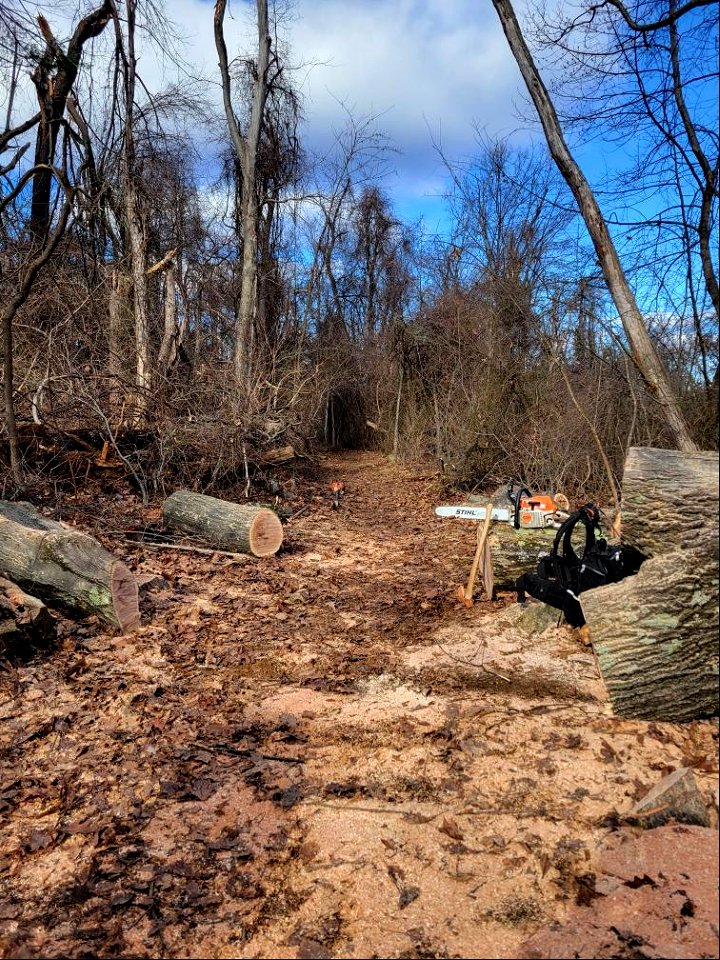 Trail Work on Fox Hollow Trail
