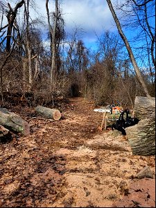 Trail Work on Fox Hollow Trail