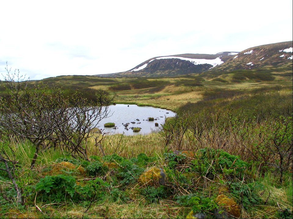 Izembek Landscape photo