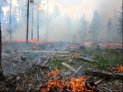 Pile burning on the Mt. Hood National Forest in 2019 - smoldering photo