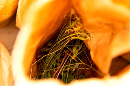 Vegetation sample bags