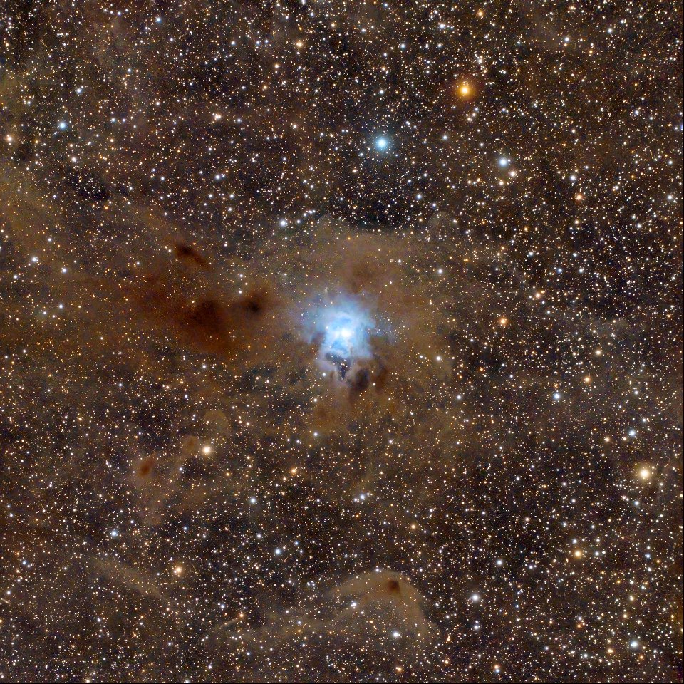 NGC 7023 - The Iris Nebula